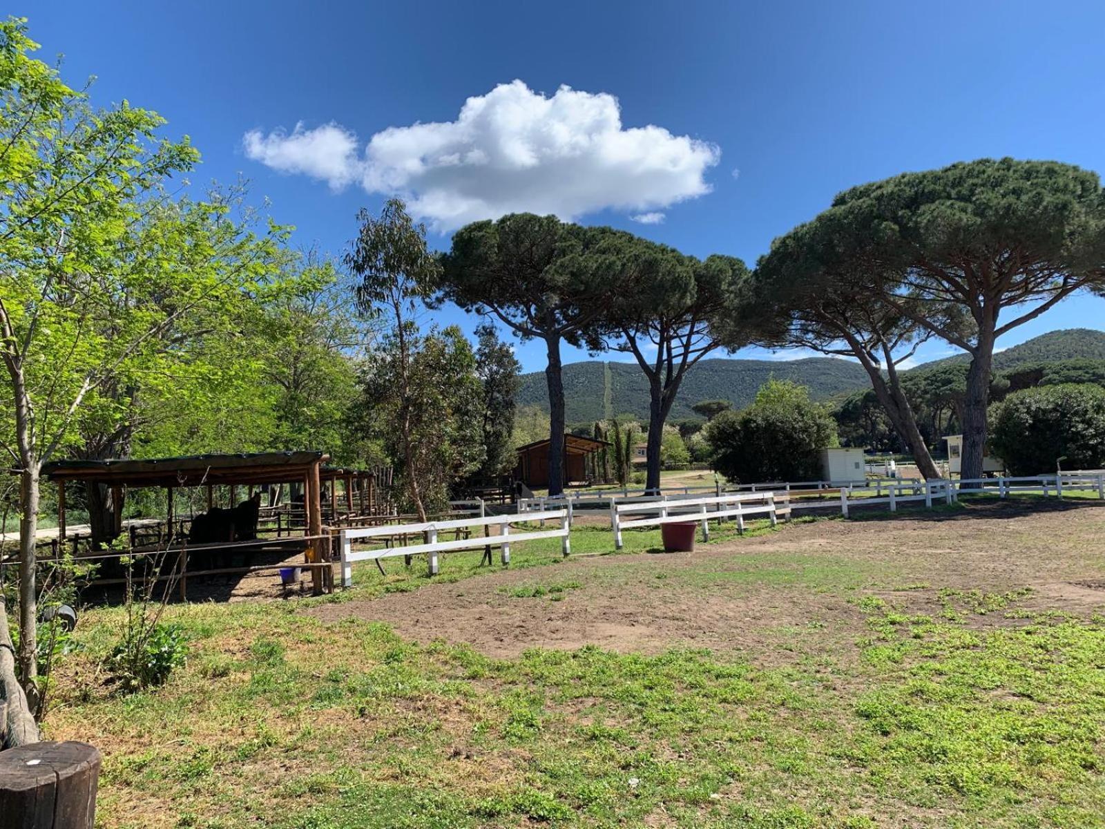 La Casa Delle Stelle Apartment Tirli Luaran gambar