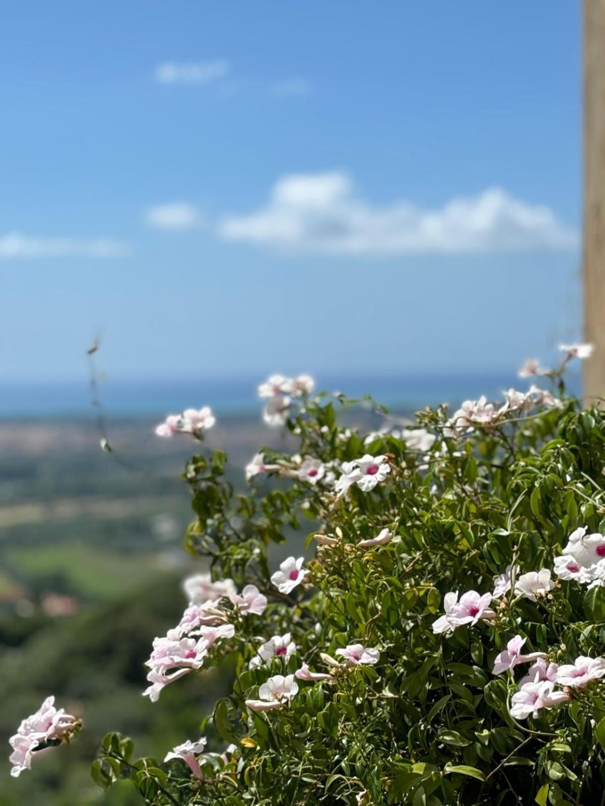La Casa Delle Stelle Apartment Tirli Luaran gambar
